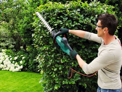 Gyvatvorių žirklės Bosch EasyHedgeCut 45 420W video