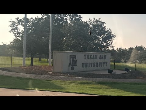 Tamu Sso