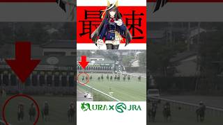 【目が覚める様な末脚】 #カルストンライトオ #アイビスサマーダッシュ #シンデレラグレイ #競馬 #ウマ娘