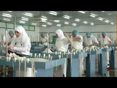 Shehfe Casings Co. FZ. LTD.mp4