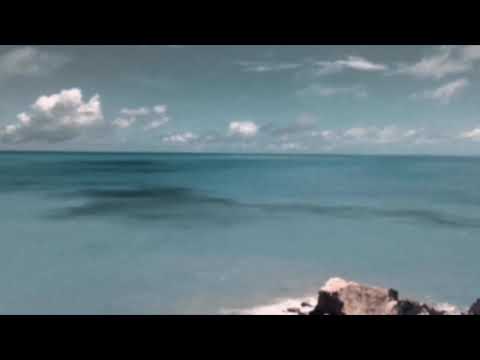 Libra - SóCiro