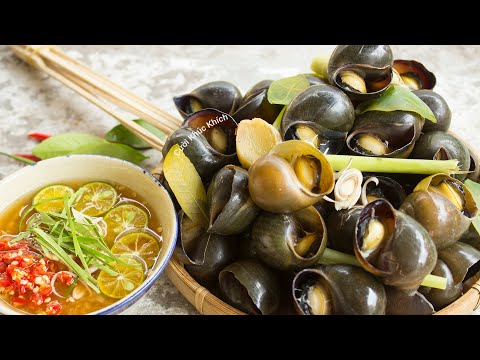 3 MẸO LÀM SẠCH ỐC VÀ CÁCH PHA NƯỚC MẮM CHẤM ỐC SÁNH KẸO CỰC NGON - CKK