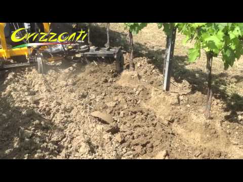 SCALZATORE POSTERIORE ORION - ORIZZONTI S.R.L