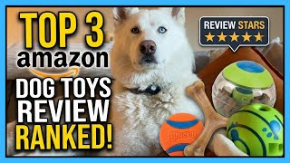 Best Amazon Dog Toys Review: Top 3 Ranked
