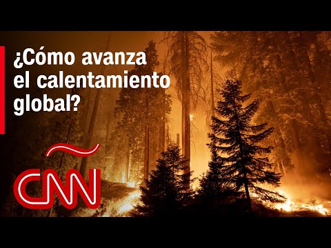 ¿Cómo avanza el calentamiento globalque pone en peligro el acceso al agua?: responde un especialista