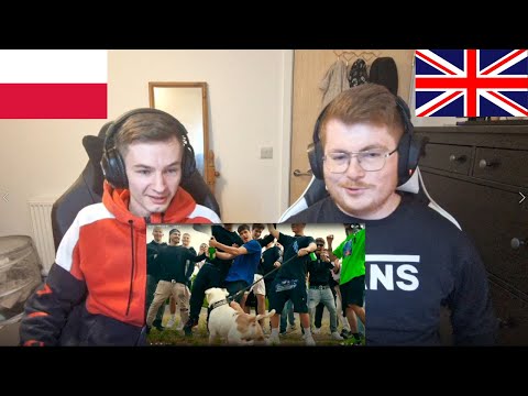 WE LIKE TO MOVE IT MOVE IT! ASSTER - HORYZONT - ENGLISH AND POLISH REACTION