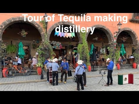 Tour of an Agave farm and Tequila making in Tequila, Jalisco, Mexico