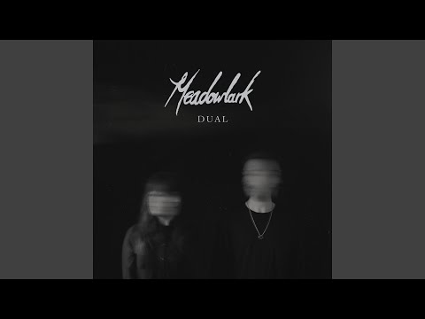Fly - Meadowlark
