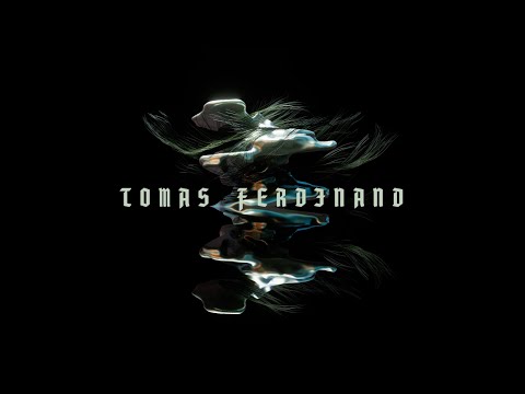 Tomas Fedinand - Bird (Official Visualizer)