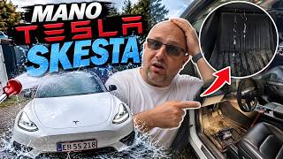 Tesla skesta stovėdama...