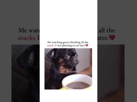 Pet dog #lovely #food #comedy #nee reel #trending