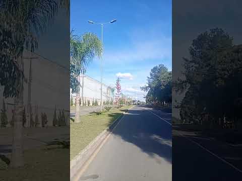 #Colônia Francesa #Avenida dás Palmeiras #Palmeira Paraná 🇧🇷💚💙💛