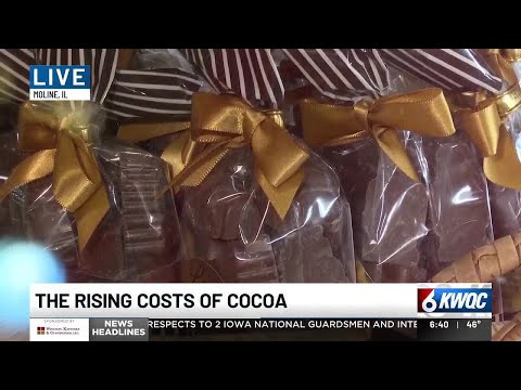 Price surge: Local chocolate shop forced to raise prices due to ...