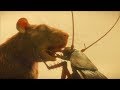 Ezekiel kisses Admiral Whiskers | Mr. Nobody tricked | DOOM PATROL 1x15 [HD] Scene