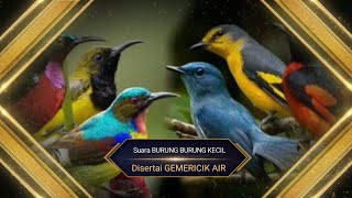 Download lagu Suara gemericik air disertai suara burung kecil 'Bagus untuk masteran dan terapi burung stres' mp3