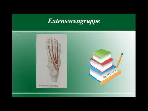 Schmerzen und Übelkeit Ursachen Übung Verstauchungen Schultergelenk