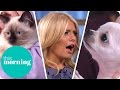 The Cutest Moments On This Morning This Morning