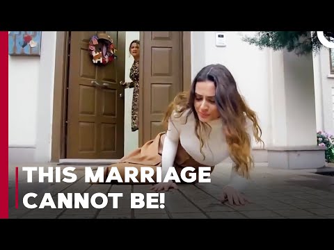 Who Do You Think You Are? - Can't Stop Loving You