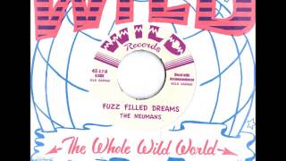 The Neumans - Fuzz Filled Dreams