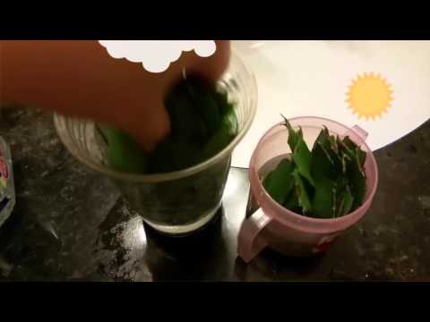 クリスマスサボテンの挿し木でシュルンベルゲラを増やす方法