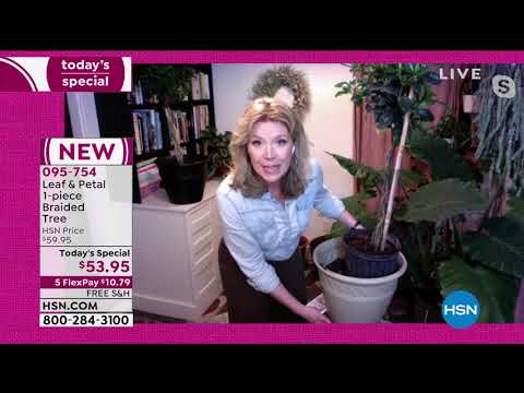 HSN | Shannon's In The House! 03.12.2021 - 08 PM