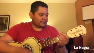 Mariachi Nuevo Tecalitlan. El son de la negra. Vihuela