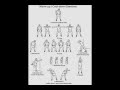 Aerobic Exercise By F22 Students