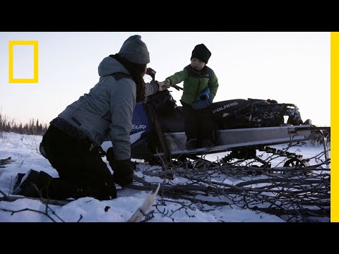 在北極地區設置兔子陷阱|零下的生活 (Setting Rabbit Snares in the Arctic | Life Below Zero)