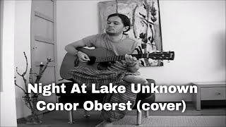 Night At Lake Unknown - Conor Oberst (cover)