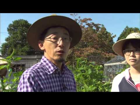 人間発達科学部 高橋満彦 准教授 (環境法・自然保護法)【Tom's TV 2012】