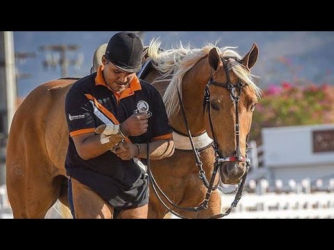 Lamento De Um Cavalo - Mano Walter