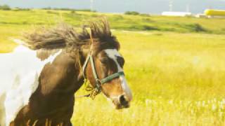 come sundown feb23 2017