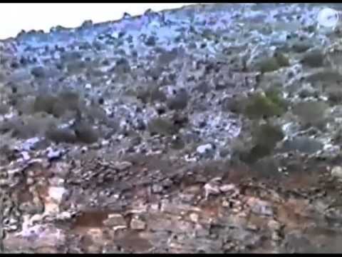 March 24, 1992 Golden Star Air Cargo 707 321C crash at Mount Hymittus, Greece