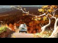Besnine-Good man 