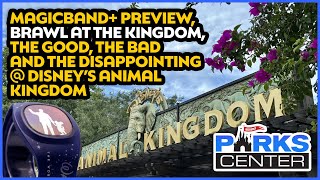 Magicband+ Coming, Fight at Magic Kingdom, and we discuss Disney’s Animal Kingdom!