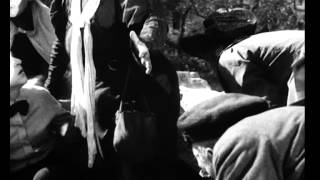 potemkin + compute (soulwax)