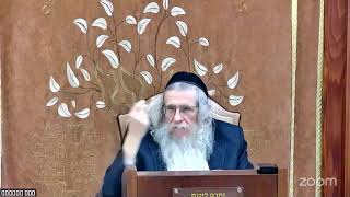 הגה"ח הרב מענדל וועכטר שליט"א כ"ה אדר תשפ"ה - שיעור בענייני גאולה ומשיח תניא פרק לו (הרב אברהם מנחם מענדל וכטר) - התמונה מוצגת ישירות מתוך אתר האינטרנט יוטיוב. זכויות היוצרים בתמונה שייכות ליוצרה. קישור קרדיט למקור התוכן נמצא בתוך דף הסרטון