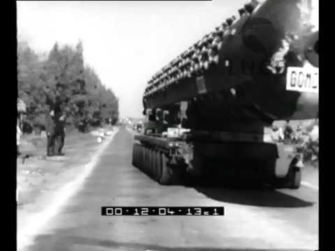 How a superpower plant is born