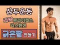 [머슬맥TV] 삼두운동, 라잉트라이셉스익스텐션 (굵은팔 만들기 with 꿀규,조무라이)