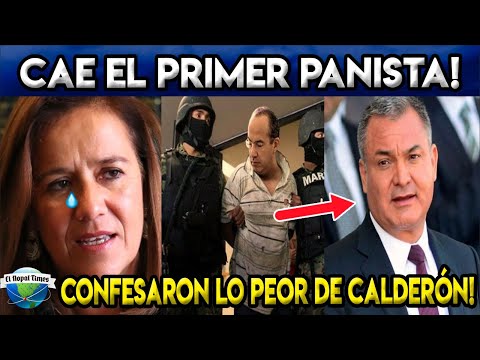 ¡CAE PRIMER PANISTA! JUICIO DE GARCÍA LUNA DA GIRO INESPERADO! CALDERÓN SERÁ TESTIGO PROTEGIDO!
