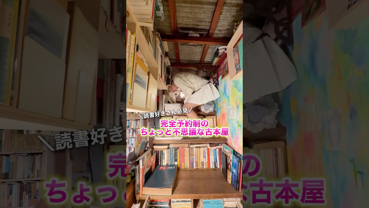 こんな古本屋さんアリですか…❤️‍🔥 #books #本紹介 #本屋 #高松 #読書