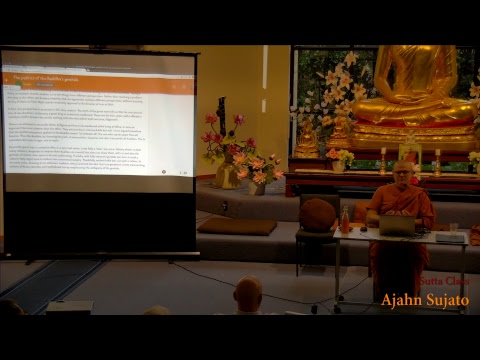 Sutta Class About Translating Suttas | Ajahn Sujato | 25 March 2018