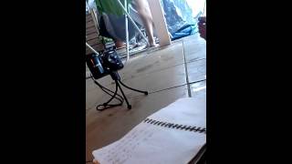 Cat power - silver stallion