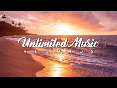 BAYZY, Jordan Rys, Swizznife & Hard Lights