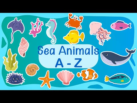 26 Amazing Sea Animals from A to Z | Fun and Educational Sea Animal Facts | ABC Sea Animals