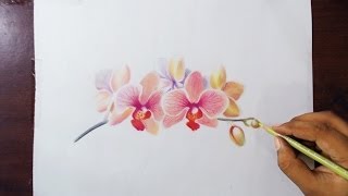 Drawing Orchids - Colored pencils