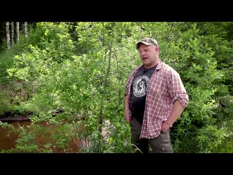 Metsä vastaa -tietopaketti - Lannoitus ja ojitus - Osa 3/8