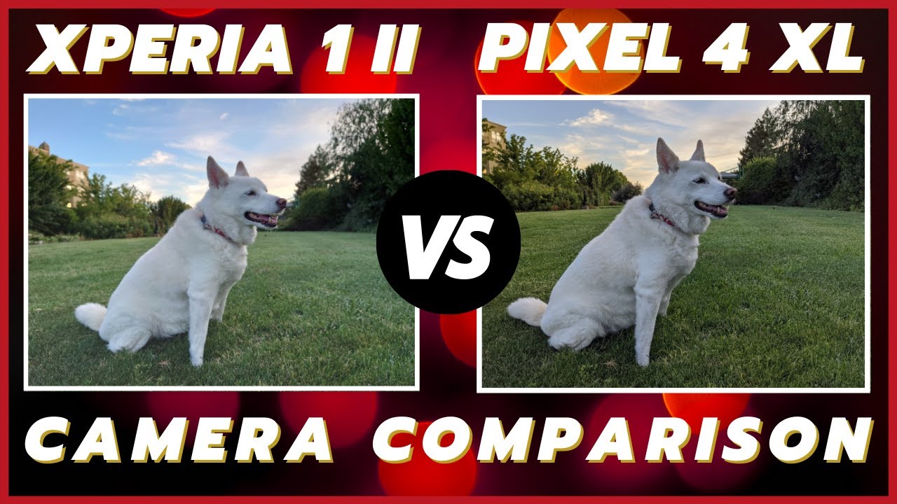 Sony Xperia 1 ii vs Google Pixel 4 XL Camera Comparison