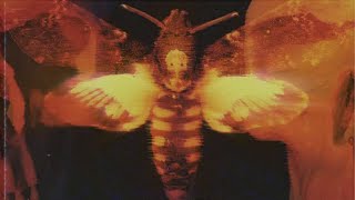 Will Jay  &amp; Flawed Mangoes - Fatal Flaw