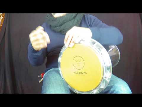 Wambooka Camel Race Head